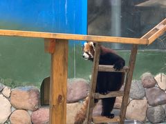 -栾川竹海野生动物园