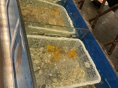 -安蒂娅·海鲜自助餐厅(安蒂娅美兰酒店)