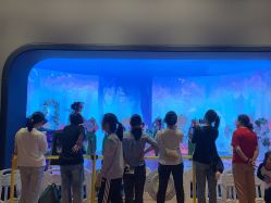 -超级奈尔宝SUPER NEOBIO(杭州星光店)