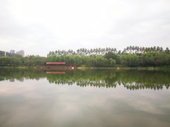 -琴亭湖公园