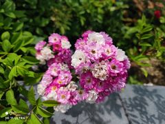 -奉浦四季生态园