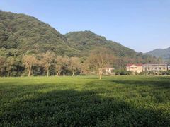 -西湖风景区十里琅珰-五云山
