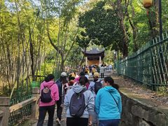 -灵岩山风景区