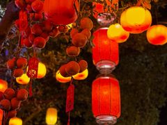 -一品烧农庄·佛山本地特色菜