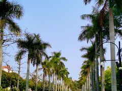 -厦门大学(思明校区)