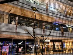 -LuOne凯德晶萃广场(徐家汇路店)