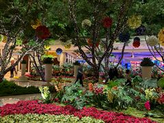 -拉斯维加斯永利酒店