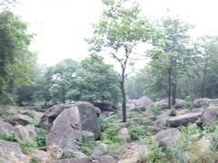-山沟沟景区