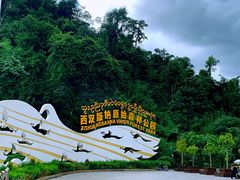 -西双版纳原始森林公园