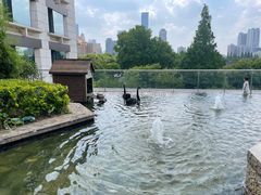 -行者书屋大堂吧 ·下午茶(南京圣和府邸酒店)