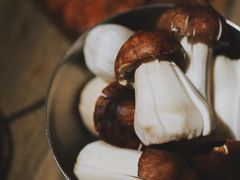 -毛辣果·酸(OHA复兴西路店)