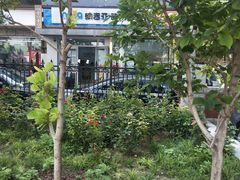 -纳吉亚猫专科动物诊疗中心(蒋宅口分院)