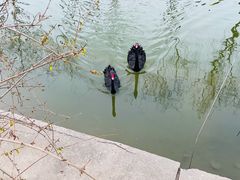 -南翠屏公园