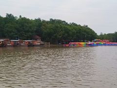 -上海海湾国家森林公园