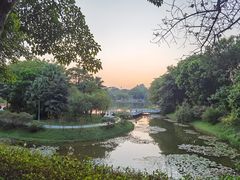 -东莞植物园