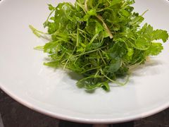 芹菜苗-梅飞酒家(桑园路店)