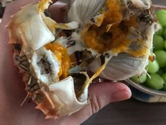 -黄记大闸蟹专卖店·活蟹·醉蟹