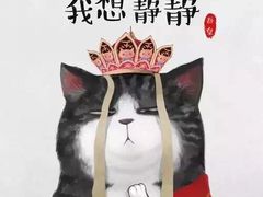 -爱纶蛋糕(山东路店)