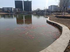 -西海子公园