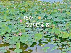 -东湖公园