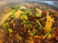 -老板恋上鱼(恒隆广场店)