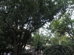 -徐家汇源景区-衡山公园