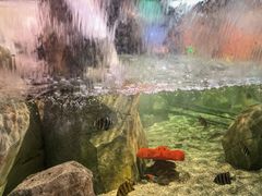 -沈阳海洋探索中心