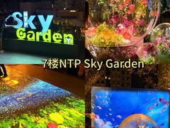 -新城市广场
