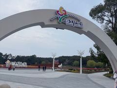 -上海鲜花港