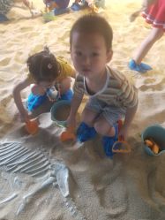 -恐龙探索乐园(磁器口店)