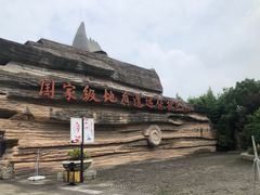 -金钉子远古世界景区