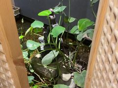 -邈墨茶馆(凤起路店)