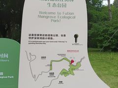 -福田红树林生态公园