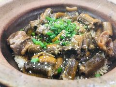 招牌黄鳝煲仔饭-红星光发煲仔饭(大石街店)