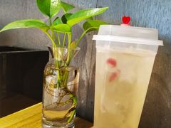 桃胶莓梅醉-炖物24章·顺时轻养茶(杭州大厦店)