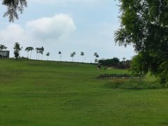 -紫颐香薰山谷景区