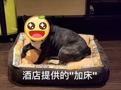 -上海崇明金茂凯悦酒店