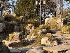 -西海子公园
