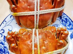 -乡乐园蟹庄·阳澄湖农家乐