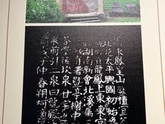 -中国茶叶博物馆(双峰馆区)