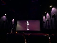 -金逸影城(光美江宁IMAX店)