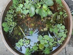 -川匠·睡眠采耳·SPA(九眼桥店)