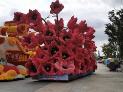 -荷兰花海