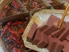 鸭血-大龙火锅(老店)