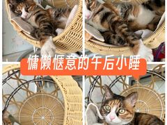 -新荟城(望京店)