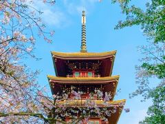 -东湖磨山景区