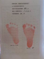 -海豚湾高端月子会所(黄浦店)