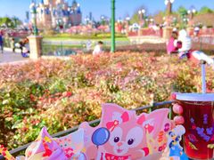 -上海迪士尼度假区