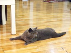 -壹人壹像工作室(购物公园店)