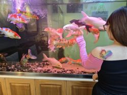 -雕哥的纹身店A3 TATTOO&纹身培训